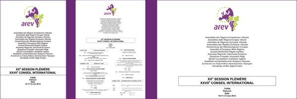 Strumenti congressuali: adeviso cartellina, programma-locandina, adesivo shopper