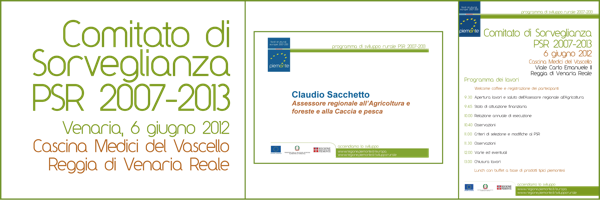 Comitato di Sorveglianza regionale - Venaria 6 giugno 2012