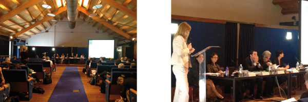 Comitato di Sorveglianza regionale - Venaria 6 giugno 2012