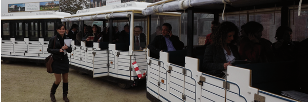 Visita guidata alla Reggia di Venaria: pronti si parte!