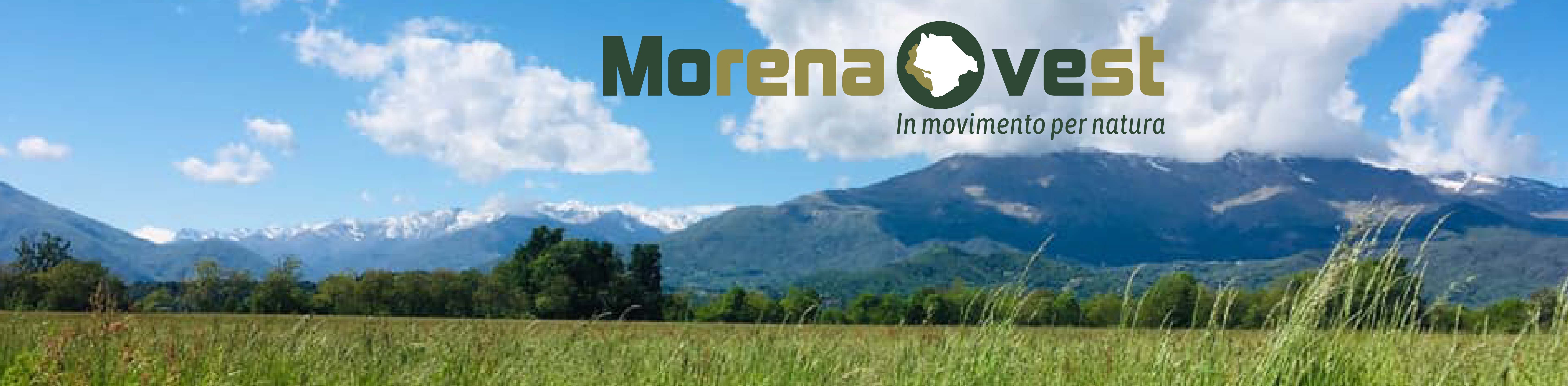 banner Morena Ovest