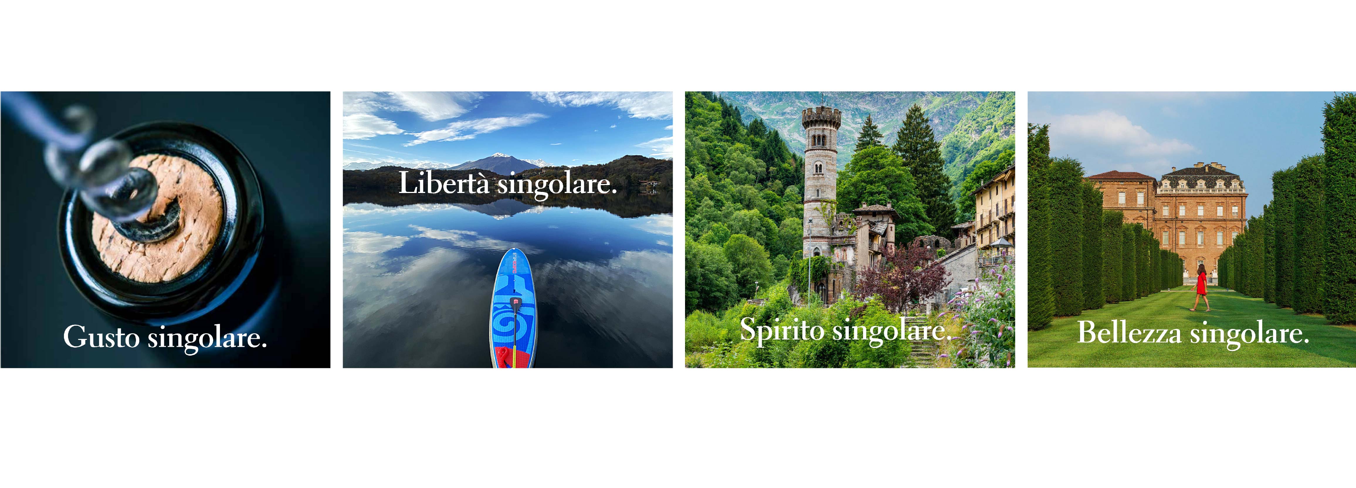 banner Piemonte singolare