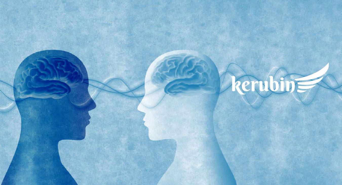 intelligenza artificiale Kerubin